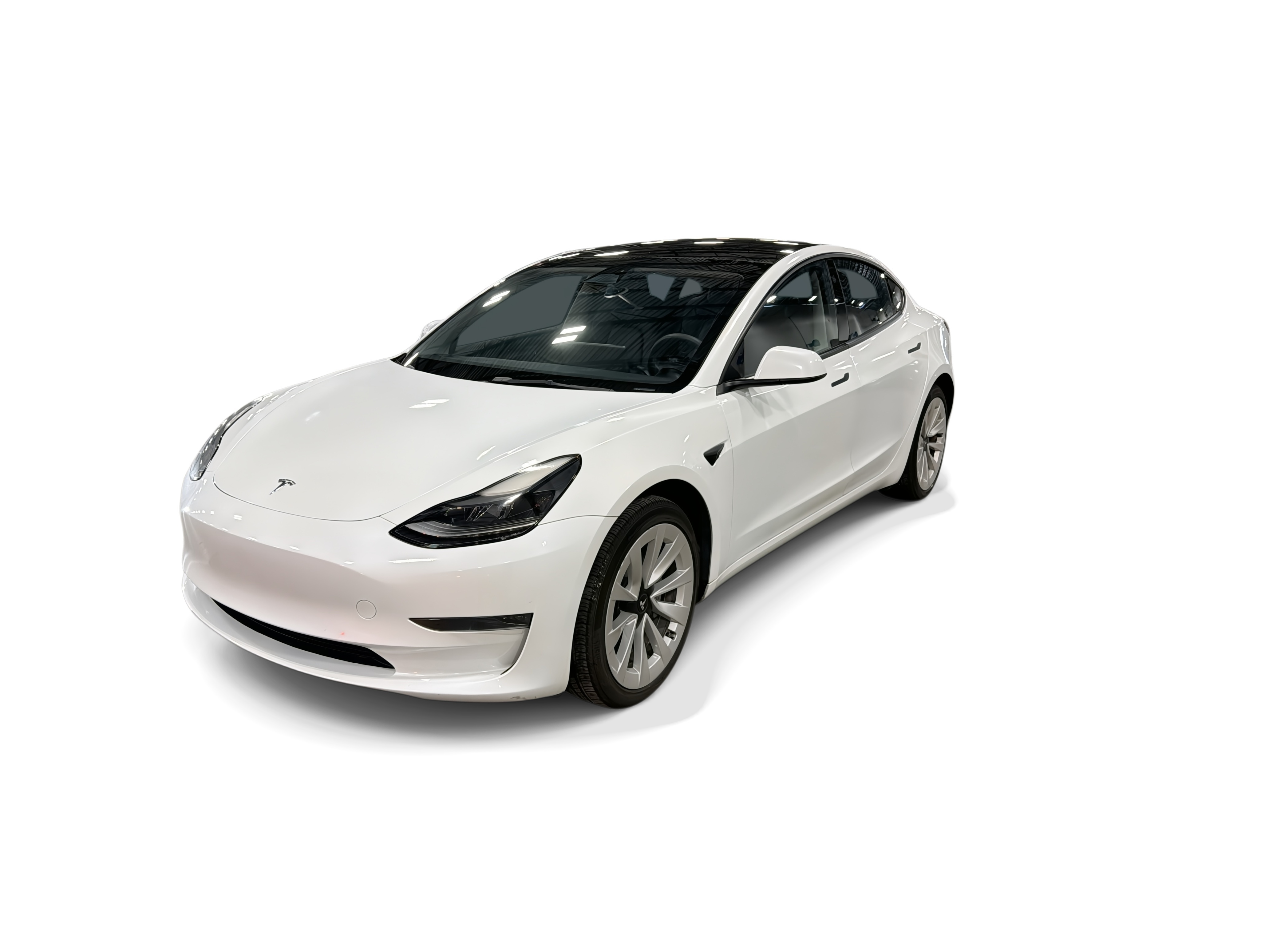 tesla model 3 2023 5YJ3E1EA5PF485446 image tesla model 3 2023 5YJ3E1EA5PF485446 image